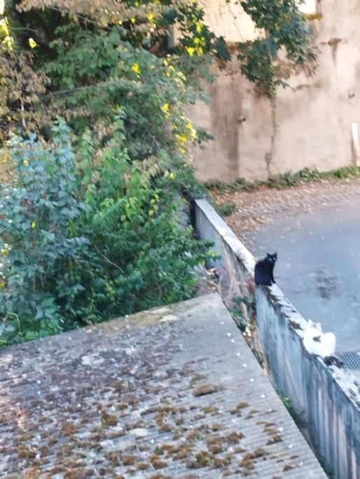 Le Grand Montjoux Apartman Besançon Kültér fotó