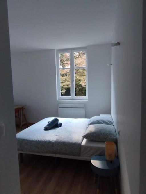 Le Grand Montjoux Apartman Besançon Kültér fotó